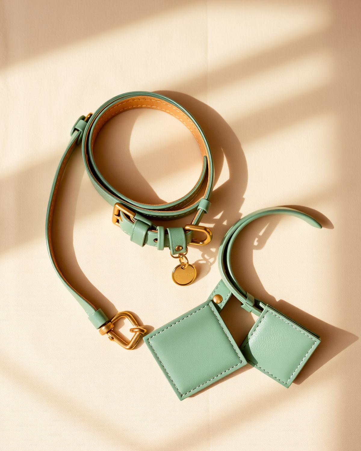 The Loomi Everyday Walk Set — sage collar, leash, ID tag and bag holder